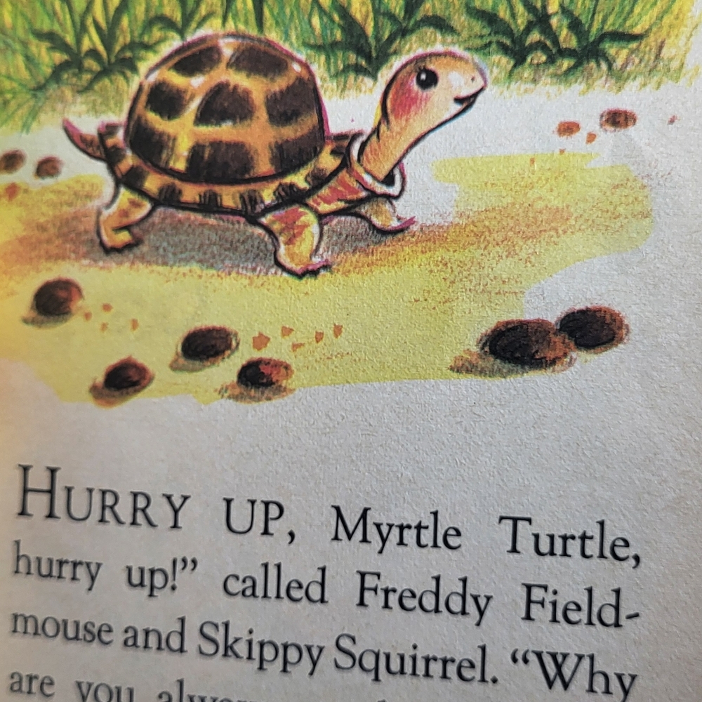 Myrtle Turtle - Picture 5 of 7